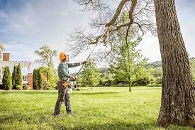 Best Tree Maintenance Programs  in Carleton, MI